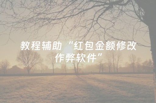 教程辅助“红包金额修改作弊软件”（详细透视教程）-哔哩哔哩