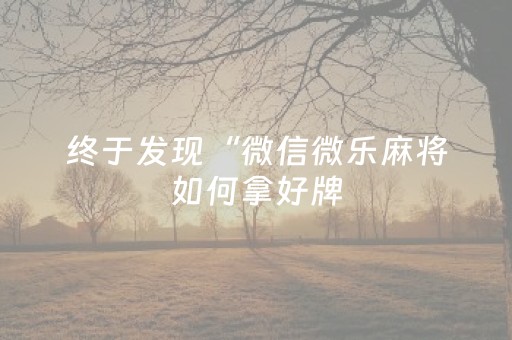 终于发现“微信微乐麻将如何拿好牌（专用辅牌神器免安装）