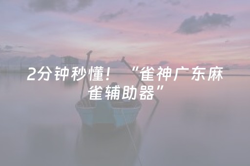 2分钟秒懂！“雀神广东麻雀辅助器”（详细辅助教程）-哔哩哔哩