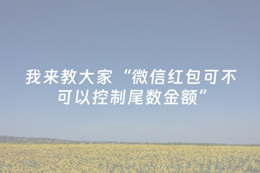 我来教大家“微信红包可不可以控制尾数金额”（详细透视教程）-哔哩哔哩