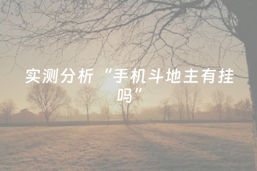 实测分享“雀神微信小程序免费辅助器”（详细开挂教程）-哔哩哔哩