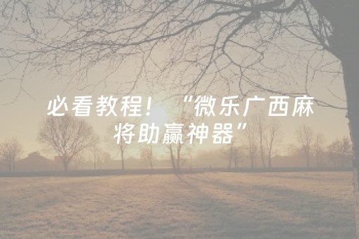 必看教程！“微乐广西麻将助赢神器”（详细透视教程）-哔哩哔哩