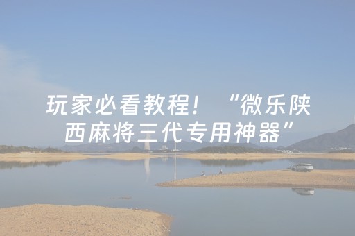 玩家必看教程！“微乐陕西麻将三代专用神器”（详细辅助教程）-哔哩哔哩