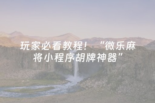 玩家必看教程！“微乐麻将小程序胡牌神器”（详细辅助教程）-哔哩哔哩