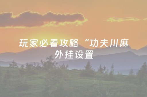 玩家必看攻略“功夫川麻外挂设置（助赢神器通用版）