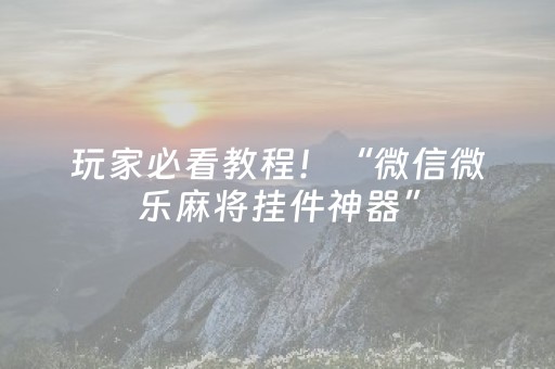 玩家必看教程！“微信微乐麻将挂件神器”（详细辅助教程）-哔哩哔哩