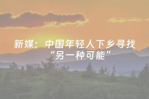 新媒：中国年轻人下乡寻找“另一种可能”