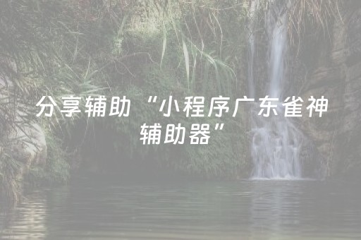分享辅助“小程序广东雀神辅助器”（详细透视教程）-哔哩哔哩