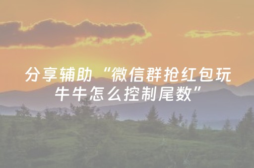 分享辅助“微信群抢红包玩牛牛怎么控制尾数”（详细透视教程）-哔哩哔哩