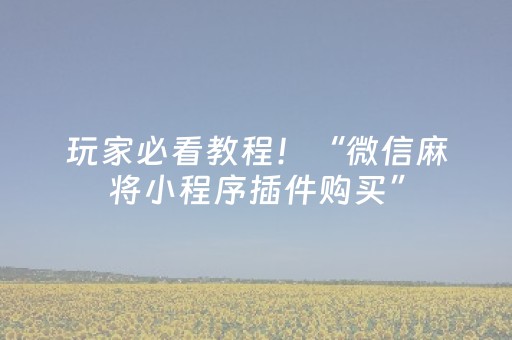 玩家必看教程！“微信麻将小程序插件购买”（详细辅助教程）-哔哩哔哩