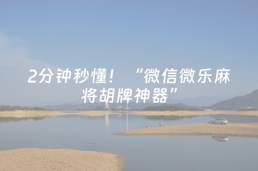 2分钟秒懂！“微信微乐麻将胡牌神器”（详细辅助教程）-哔哩哔哩