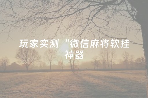 玩家实测“微信麻将软挂神器（助赢神器通用版）