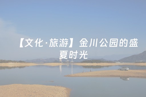 “出版驼队”行阅中亚 用书籍搭建“文化高铁”