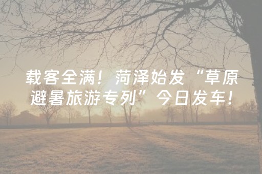 迎暑期旅游高峰 鸡西虎林市虎头旅游景区升级投用