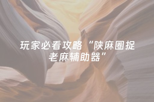 玩家必看攻略“陕麻圈捉老麻辅助器”（详细透视教程）-哔哩哔哩