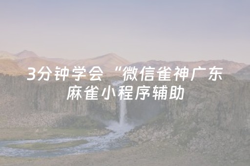 3分钟学会“微信雀神广东麻雀小程序辅助（助赢神器通用版）