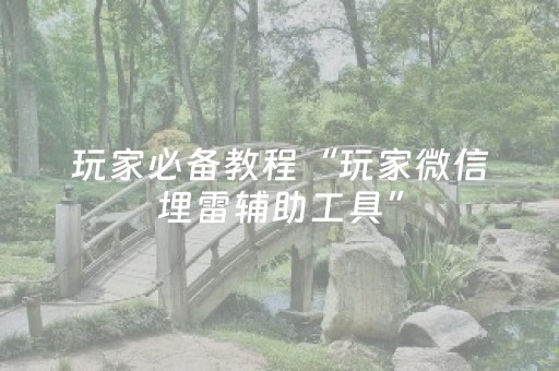 玩家必备教程“玩家微信埋雷辅助工具”（详细透视教程）-哔哩哔哩
