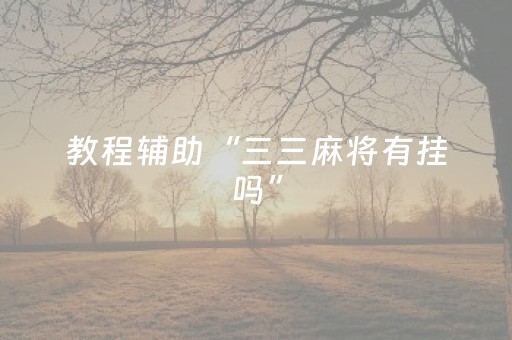 教程辅助“三三麻将有挂吗”（详细透视教程）-哔哩哔哩