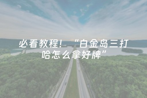 必看教程！“白金岛三打哈怎么拿好牌”（详细辅助教程）-哔哩哔哩