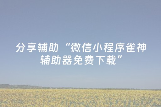 分享辅助“微信小程序雀神辅助器免费下载”（详细透视教程）-哔哩哔哩
