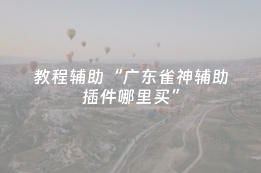 教程辅助“广东雀神辅助插件哪里买”（详细透视教程）-哔哩哔哩