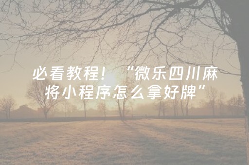 必看教程！“微乐四川麻将小程序怎么拿好牌”（详细开挂教程）-哔哩哔哩
