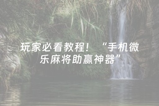 玩家必看教程！“手机微乐麻将助赢神器”（详细辅助教程）-哔哩哔哩