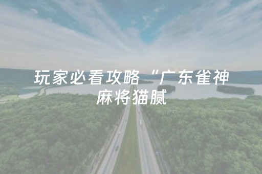 玩家必看攻略“广东雀神麻将猫腻（助赢神器通用版）