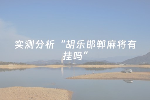 实测分析“胡乐邯郸麻将有挂吗”（详细辅助教程）-哔哩哔哩
