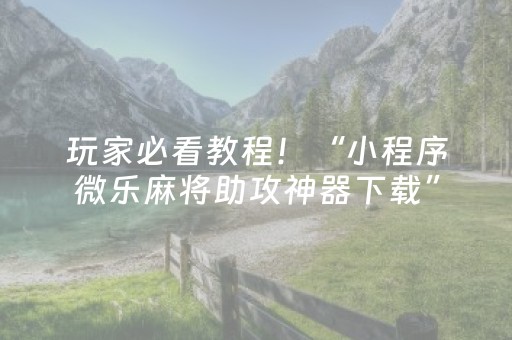 玩家必看教程！“小程序微乐麻将助攻神器下载”（详细辅助教程）-哔哩哔哩