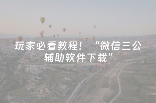 玩家必看教程！“微信三公辅助软件下载”（详细辅助教程）-哔哩哔哩