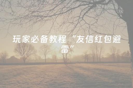 玩家必备教程“友信红包避雷”（详细透视教程）-哔哩哔哩