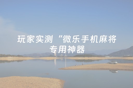 玩家实测“微乐手机麻将专用神器（助赢神器通用版）