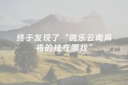 终于发现了“微乐云南麻将的挂在哪找”（详细透视教程）-哔哩哔哩