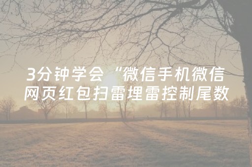 3分钟学会“微信手机微信网页红包扫雷埋雷控制尾数”（详细透视教程）-哔哩哔哩