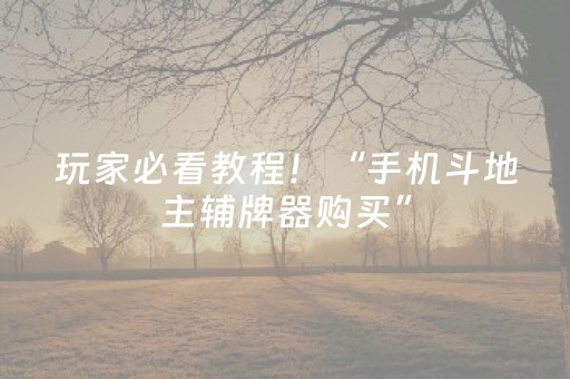 玩家必看教程！“手机斗地主辅牌器购买”（详细辅助教程）-哔哩哔哩
