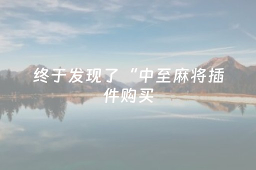 终于发现了“中至麻将插件购买（助赢神器通用版）