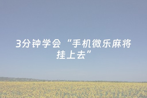 3分钟学会“手机微乐麻将挂上去”（详细透视教程）-哔哩哔哩