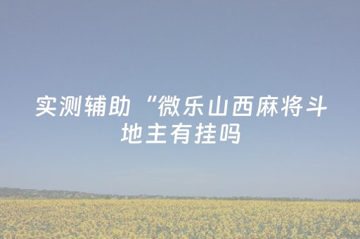 实测辅助“微乐山西麻将斗地主有挂吗（助赢神器通用版）
