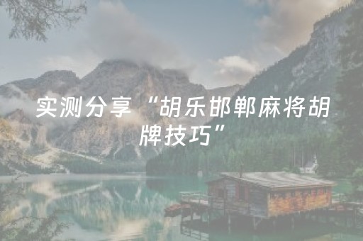 实测分享“胡乐邯郸麻将胡牌技巧”（详细辅助教程）-哔哩哔哩