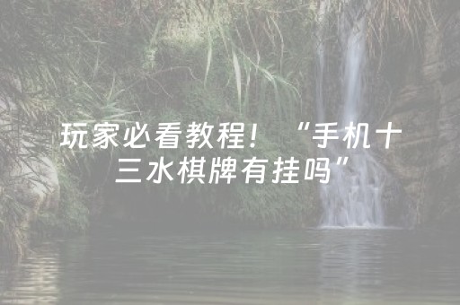 玩家必看教程！“手机十三水棋牌有挂吗”（详细开挂教程）-哔哩哔哩