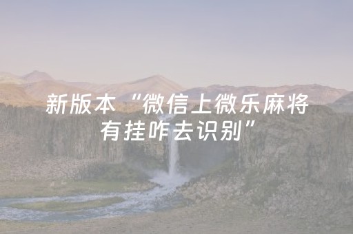 新版本“微信上微乐麻将有挂咋去识别”（详细透视教程）-哔哩哔哩