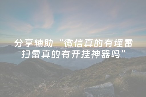 分享辅助“微信真的有埋雷扫雷真的有开挂神器吗”（详细透视教程）-哔哩哔哩