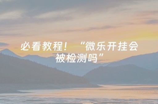 必看教程！“微乐开挂会被检测吗”（详细开挂教程）-哔哩哔哩
