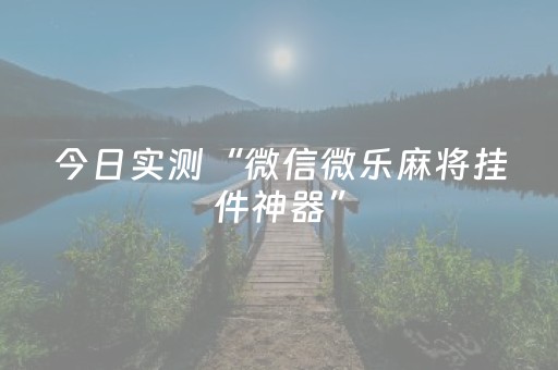 今日实测“微信微乐麻将挂件神器”（详细透视教程）-哔哩哔哩