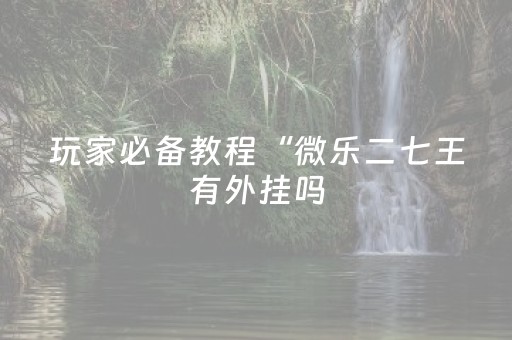 玩家必备教程“微乐二七王有外挂吗（助赢神器通用版）
