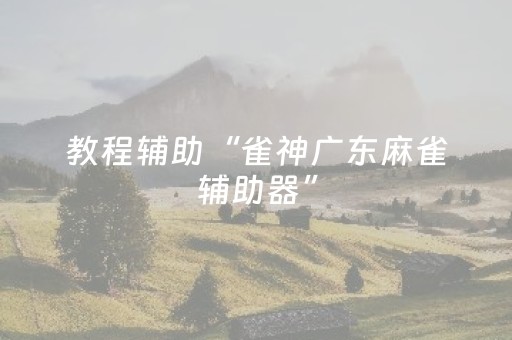 教程辅助“雀神广东麻雀辅助器”（详细透视教程）-哔哩哔哩