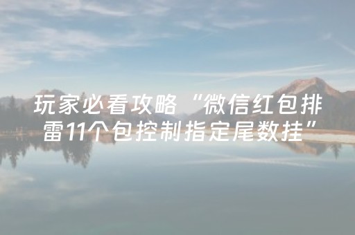 玩家必看攻略“微信红包排雷11个包控制指定尾数挂”（详细透视教程）-哔哩哔哩