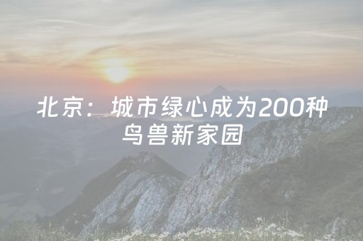 北京：城市绿心成为200种鸟兽新家园
