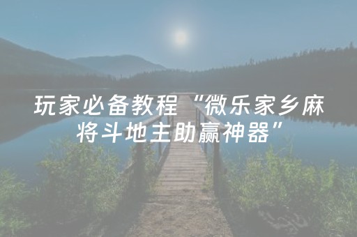玩家必备教程“微乐家乡麻将斗地主助赢神器”（详细透视教程）-哔哩哔哩